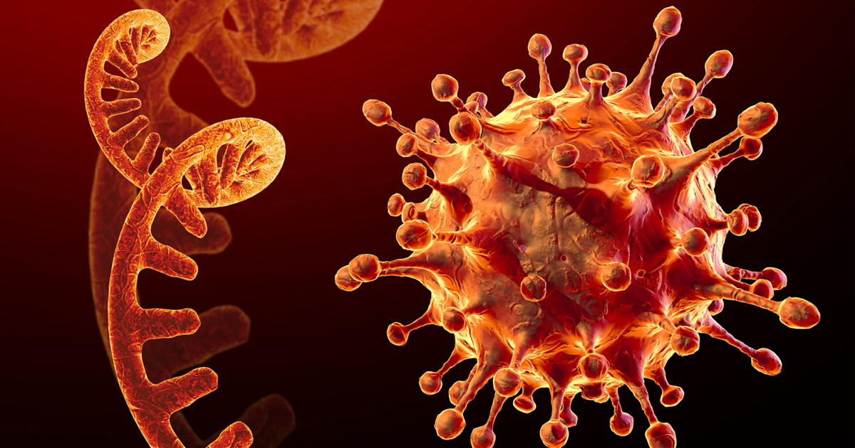 पछिल्लो २४ घण्टामा कोरोना संक्रमणबाट ५ जनाको मृत्यु